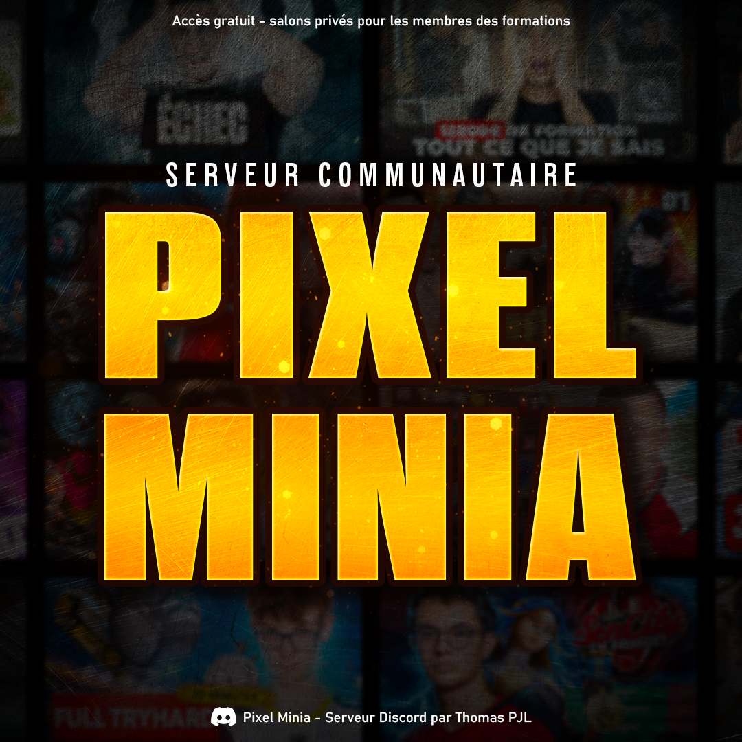 Pochette Discord Pixel Minia